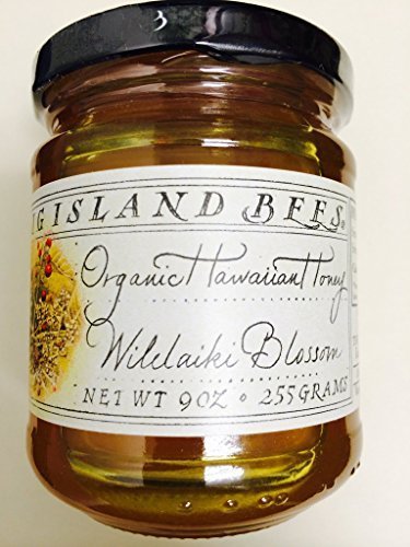 Hawaiian Macadamia Nut Blossom Raw Honey by Big Island Bees (9 ounce)