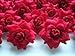 (24) Silk Red Black Roses Flower Head - 1.75