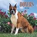   - Boxers 2009 Wall Calendar 12