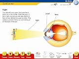 Review Focus Multimedia Ltd  / Oxford First Encyclopaedia (PC)