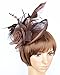 Womens Feather Mesh Fascinator Hat with Headband Brown