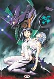 Neon Genesis Evangelion Platinum Edition Box (Eps 01-26) (8 Dvd)