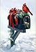 Cardinal Mailbox Christmas Garden Flag RS.3032.00