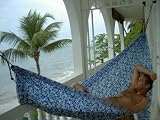 The Hawaiian Hammock with hammock hanging kit. Take it camping, backpacking, hiking, to the beach!