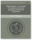 Mitochondria: A crossroads for oxidative stress and apoptosis resistance in lymphoma.