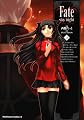 Fate/stay night (12) (角川コミックス・エース 150-13)