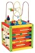 Maxim 5-in-1 Learning Cube