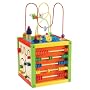 Maxim 5-in-1 Learning Cube