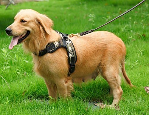 Dog Body Harness with Padded Horse Saddle Shape (Large)