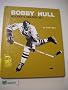 Bobby Hull, hockey's golden jet (Sports close-up books)