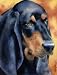 "Black and Tan Coonhound" Dog Art Print Signed by Artist DJ Rogers