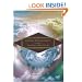 Divine Providence (Swedenborg, Emanuel, Works.)