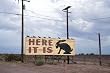 Here It Is, All Right - or Nearby - The Route 66 Rabbit 16x20-inch Photographic Print by Carol M. Highsmith