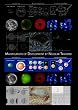 Manipulation of Development by Nuclear Transfer