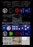 Manipulation of Development by Nuclear Transfer