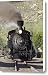 Durango And Silverton Railroad Narrow Canvas Print / Canvas Art - Artist Rich Reid Durango And Silverton Railroad Narrow Canvas Print / Canvas Art - Artist Rich Reid