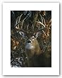 An Autumn Gentleman by Carl Brenders 16"x12" Art Print Poster