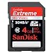 SanDisk 4GB Extreme SDHC Class 10 Memory Card