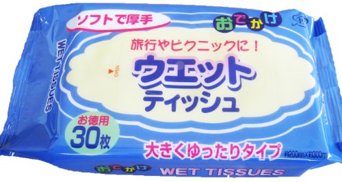 おでかけウェットティッシュ 30枚入り