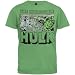 Search : Incredible Hulk - The Hulk T-Shirt