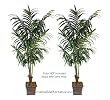 TWO 8.5' Extra Full Artificial Kentia Palm Tropical Trees, 3 Iris Stems Free with Purchase (Retail Price $23.07)