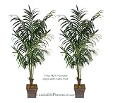 TWO 8.5' Extra Full Artificial Kentia Palm Tropical Treed