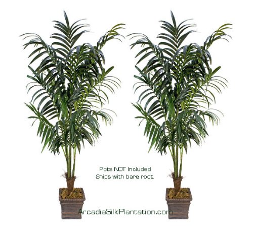 TWO 8.5′ Extra Full Artificial Kentia Palm Tropical Treed