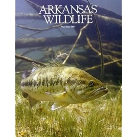 Arkansas Wildlife
