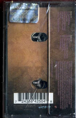 Skin - Faithfulness (Tiesto Vocal Remix) Lyrics - Zortam Music