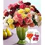 Roses - 50 Blooms of Assorted Garden Spray Rose Flowers with Vase
