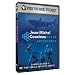 DVD : Jean-Michel Cousteau Ocean Adventures: Sharks at Risk & Gray Whale Obstacle Course