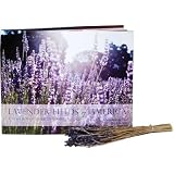 Lavender Fields of America, a New Crop of American Farmers ~ Rebecca Rosenberg