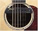 Takamine Triaxl Body Sensing Magnetic Soundhole Pickup
