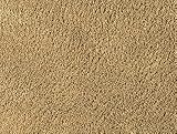 Sand Turtle door mat with latex backing 75 X 100cm