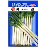 明彦　みかど協和のネギ種です