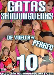 Gatas Sandungueras Vol 10 De Vuelta al Perreo Reggaeton