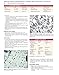 Differential Diagnosis in Surgical Pathology, 3e