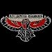 Atlanta Hawks Team Logo Pin