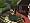 Ideal Home 3D Landscape Design 12