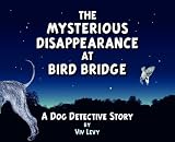 The mysterious disappearance at Bird Bridge