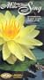 Make Your Pond Sing: An Introduction to Water Ponds & Koi Ponds