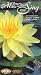 Make Your Pond Sing: An Introduction to Water Ponds & Koi Ponds