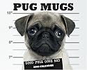 Pug Mugs 2008 Calendar