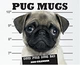 Pug Mugs 2008 Calendar: Good Pugs Gone Bad