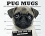Pug Mugs 2008 Calendar