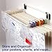 Poster & Chart Organizer: Economy Starter Kit (SnapTab WallFile System)