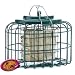 The Nuttery Squirrel and Predator Proof Oval Suet Feeder