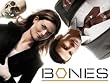 Bones