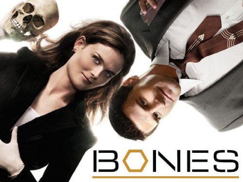 Bones