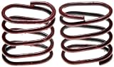 Raybestos H1342 Professional Grade Parking Brake Strut Spring